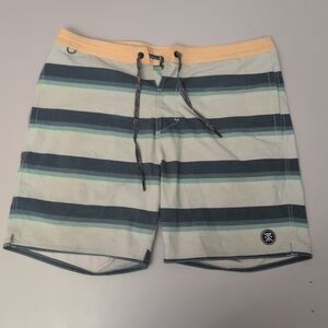 Roark The Chiller Shorts Multicolor Striped Board